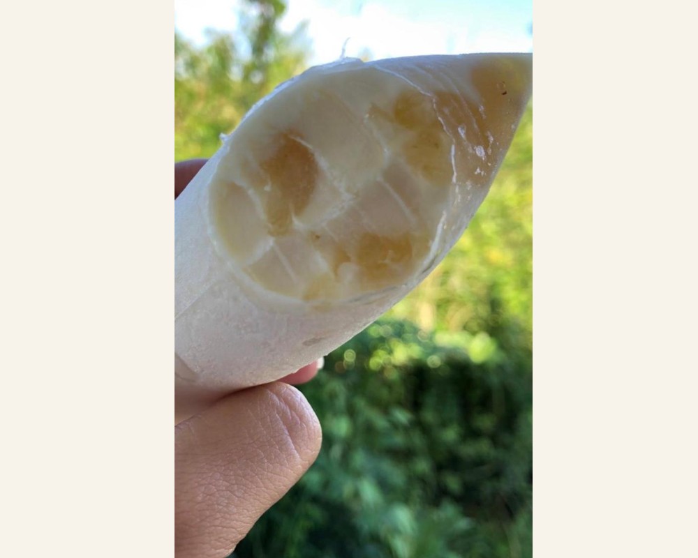 Delicia de Abacaxi